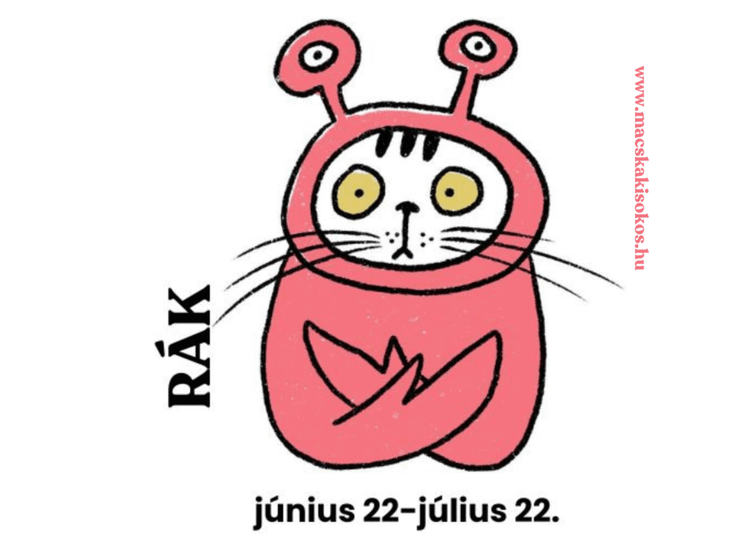 A képen egy mókás, rajzolt cica látható, aki rák jelmezt visel, két csápformájú szemmel a fején. A karakter kifejező, kissé aggodalmas arckifejezése jól illik a rák csillagjegy érzékeny és gondoskodó természetéhez. A jelmez rózsaszín árnyalata még tovább erősíti a kedvesség és szeretet érzetét. A kép egyértelműen a rák macska szimbolikus ábrázolása, a június 22. és július 22. közé eső időszakra utalva.